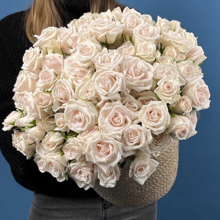 25 кустовых роз Роял Порцелина в кашпо